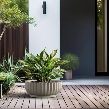 Kante Large Round Shallow Weathered Concrete Planter 20.9" Dia, Outdoor - color: Weathered Concrete, size: 20.9"w x 8.3"h