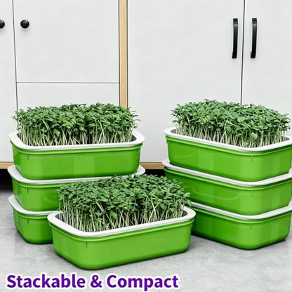 Plastic Double-Layer Plant Growing Nursery Pots Vegetable Flower Seedlings Tray Soilless Germination Plate Garden Tools,16.5 * 10.5 * 5.5cm(3 pcs) - color: 3 Pcs