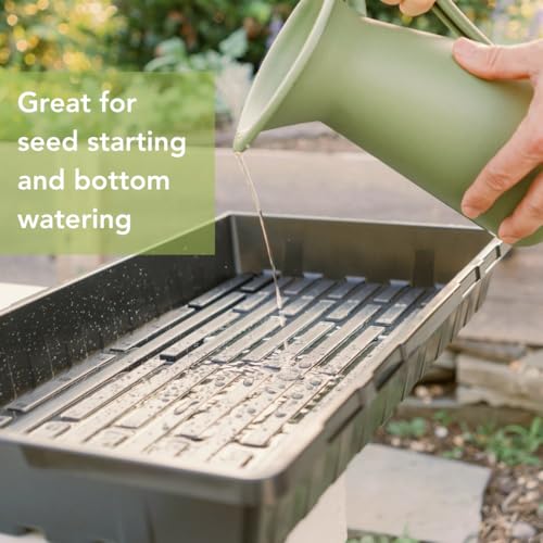 Bootstrap Farmer 1020 Trays (10-Pack), Heavy Duty No-Hole Flats for Microgreens, Fodder & Seedling Propagation - 1.8mm Thick Reusable Plastic - color: Black