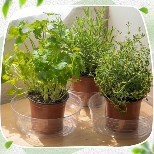 Hoolerry 15 Pcs Plastic Plant Saucer Clear Deep Tray, 14 Inch - size: 14 Inch