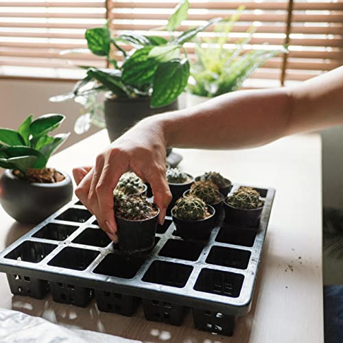 KINGLAKE GARDEN Small Black Plastic Pots,50 Packs 2 Inch Small Plant Pots - color: Black