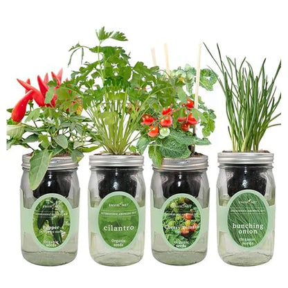 Hydroponic Mason Jar Indoor Garden Organic Seed Starter Kits - Zesty Salsa Growing Kits, Gardening Gift (Jalapeno Pepper, Cilantro, Cherry Tomato - Tiny Tim, Bunching Onion) - color: Zesty Salsa Growing Kits