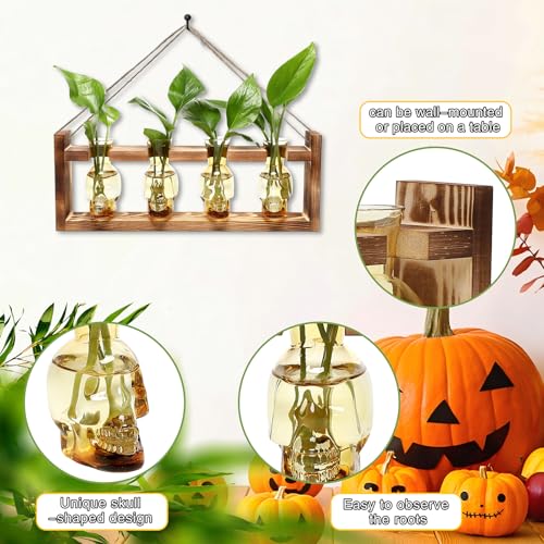 Plant Propagation Stations Halloween Skull Plant Terrarium Kit - color: Gold
