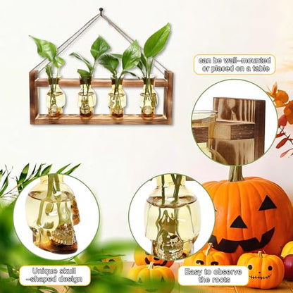 Plant Propagation Stations Halloween Skull Plant Terrarium Kit - color: Gold