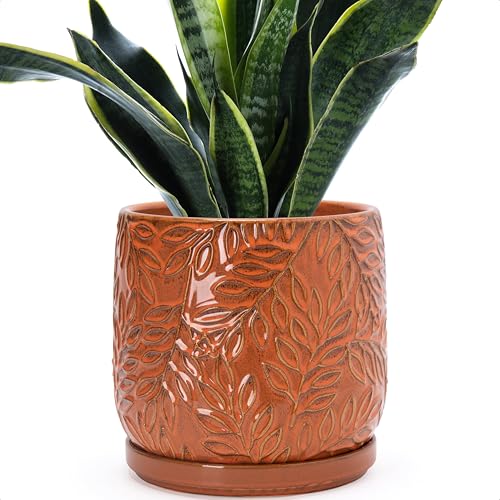 D'vine Dev Embossed Leaves Ceramic Planter, 8 in, Pumpkin, 27-A-Q-J - color: Pumpkin, size: 8 Inch