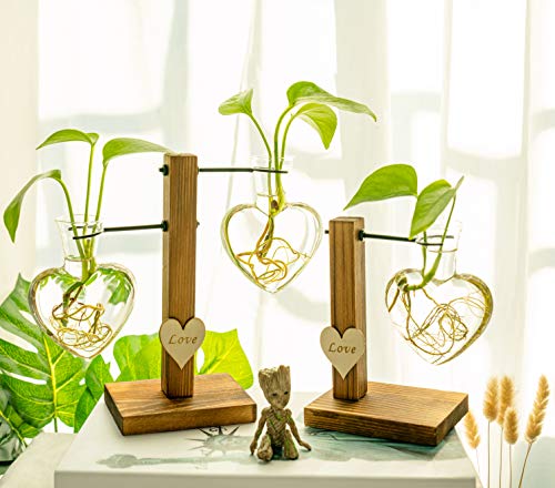 Kingbuy Heart Shaped Glass Hydroponic Vase with Retro Wooden Stand - Desktop Plant Terrarium for Bulb Planter, Water Plant Propagation Glass Vase Pot Planter Flower Desktop Decoration Home Garden - size: Heart （2 Bulb Vase）