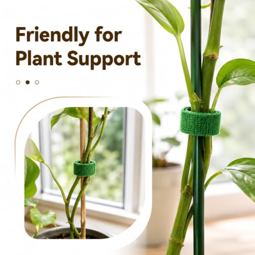 Plant Ties, Garden Plant Tape 0.4in x 32.8ft Roll, Reusable Hook and Loop Plant Ties for Climbing Plants, Adjustable Plant Tie Tape for Stems, Vines, Garden Support and Home Organization
