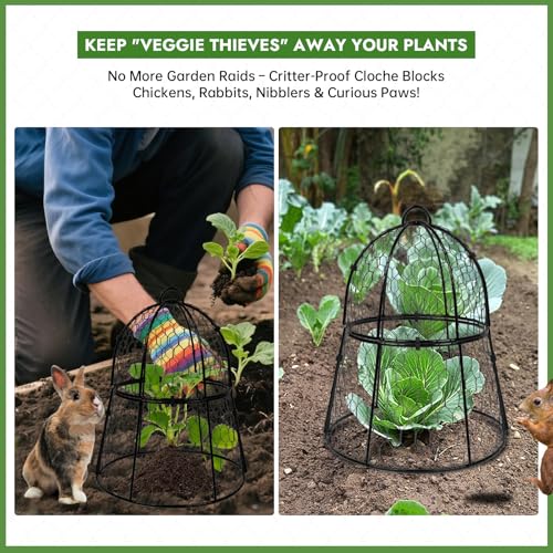 Decoroca 2 PCS Garden Cloches for Plants - Chicken Wire Plant Protectors - size: 2pcs-13.4x13in