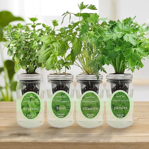 Hydroponic Herb Growing Kit Set, Self-Watering Mason Jar Herb Garden Starter Kit Indoor, Grow 4 Kinds of Herbs from Seeds (Cilantro,Basil,Parsley&Oregano) - color: Cilantro,Basil,Parsley&Oregano