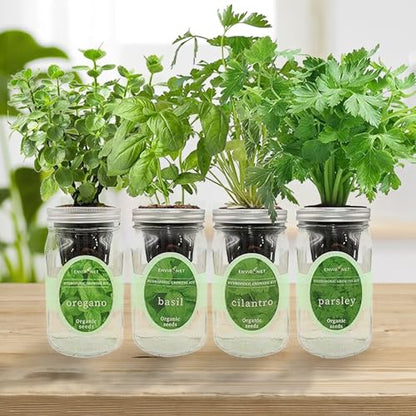 Hydroponic Herb Growing Kit Set, Self-Watering Mason Jar Herb Garden Starter Kit Indoor, Grow 4 Kinds of Herbs from Seeds (Cilantro,Basil,Parsley&Oregano) - color: Cilantro,Basil,Parsley&Oregano