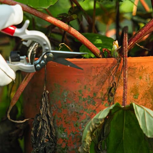 Radius Garden 7.5-inch Hand Pruner with Fine Tip Blades for Pruning