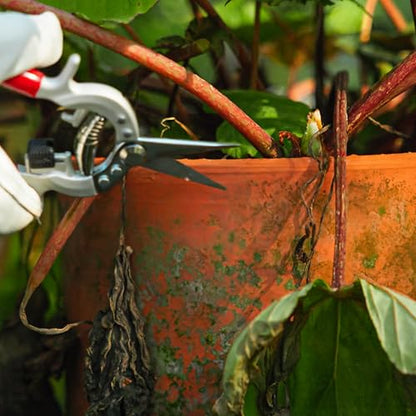 Radius Garden 7.5-inch Hand Pruner with Fine Tip Blades for Pruning