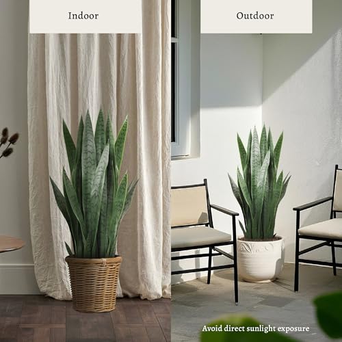 KOL 3FT 2-Pack Artificial Snake Plants, Fake Sansevieria Indoor Outdoor - size: 2 PCS