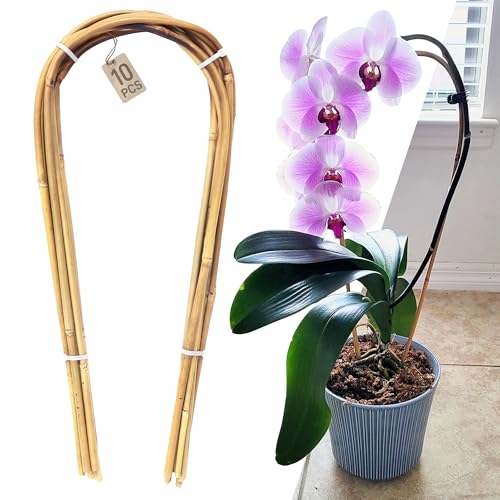 Avalution 16" Natural Bamboo Plants Trellis U-Hoop,Bamboo Gaeden Trellis U-Shape for Climbing Plant Support-10PCS - color: U-Hoop, size: 10 PACK-16 inches