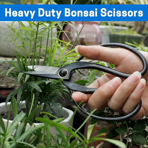 VISEMAN Japanese Bonsai Pruning Scissors, KinTakashi Gardening Shears