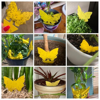 120 Pack Fungus Gnat Traps for House Indoor, Yellow Sticky Traps for Plants - size: 120 packs