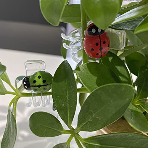 30 Pcs Colorful Ladybug Orchid Clips, Garden Plant Vine Support Clips Flower Clips