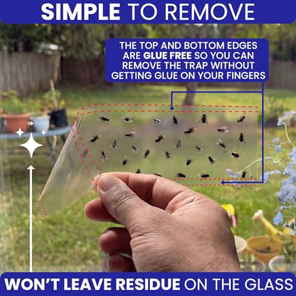 50 Window Fly Traps Sticky Non-Toxic Clear Fly Paper Indoor for Home. No Mess Flies Window Sticky Traps Bug Flies Strips Indoors. Fruit and Housefly Trap Indoor Flypaper Tape Gnat Catcher Killer