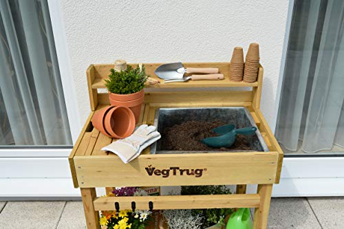VegTrug Deluxe Cedar Potting Bench, Natural - Outdoor Workstation with Removable Metal Tray, Built-in Shelves & Storage for Gardening, Repotting, Seed Starting, Patio & Greenhouse Use