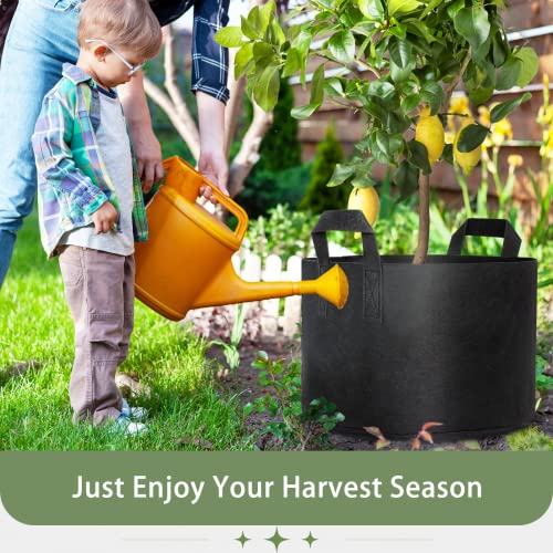 GreatBuddy Grow Bags 10 Gallon 6-Pack, Heavy Duty Fabric Grow Bags with Handles for Vegetables, Herbs, and Tomatoes, Fabric Pots & Planting Bags for Outdoor Home Gardening - size: 10 Gal