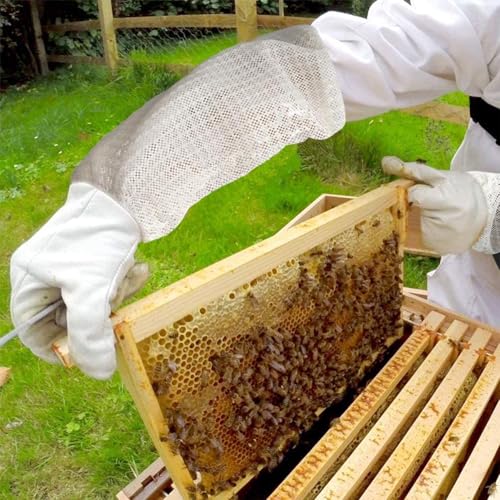 Luwint Premium Goatskin Beekeeping Gloves, Bee Beekeeper Gloves with 3 Layers Ventilated Mesh Sleeve and Elastic Cuffs - size: Medium
