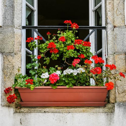 6 Pcs 31 inch Window Box Planter, Large Rectangular Plastic Flower Pot with Tray, Suitable for Indoor & Outdoor Gardens, Balcony and Home Decor (6)