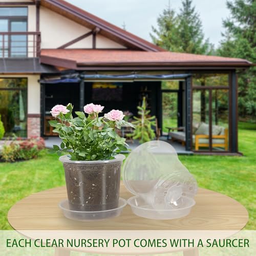 20 Pack 6 Inch Clear Nursery Pots with Drainage and 20 Pack Plant Saucers, 0.5 Gallon Plant Pots for Plants Potting Containers Half Gallon Plants Seeding Starter Pot (Clear, 6 Inch) - color: Clear, size: 6 Inch