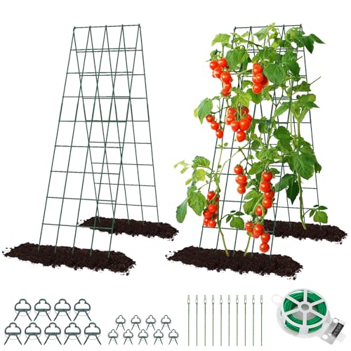 RIFNY Cucumber Trellis for Raised Bed, Garden Trellis 16.5 x 60 Inch, Green - color: Green, size: 16.5 x 60 Inch