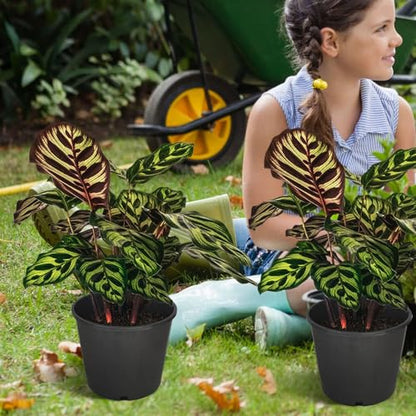 3 Gallon Nursery Pot 10-Pack 3 Gallon Plastic Garden Planter Pots Flower Seedling Injection Molded Container Seed Starting Pot Set for Indoor Outdoor Plants Seedlings Vegetables Black - size: Standard 3 Gallon