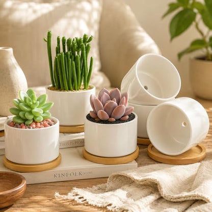 ZOUTOG 6 Pack 3.6" Ceramic Succulent Pots,White Planter with Drainage Tray | Round Flower Plant Pot Ideal for Windowsill, Bedroom and Living Room, Great for Succulents, Cacti & Small Indoor Green Plants