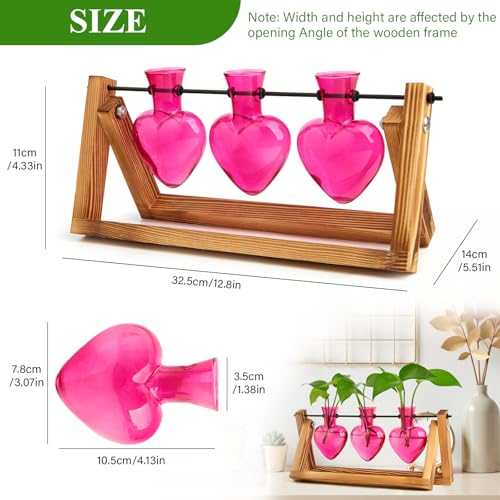 XXXFLOWER Plant Terrarium Propagation Stations 3 Heart Shaped Vases - size: 3 Heart Vase