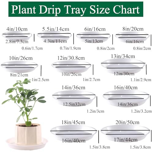 30 Pack Plant Saucer 5 Inches Plastic Drip Trays to Catch Water, Light Grey - color: Light Grey, size: 5 inch