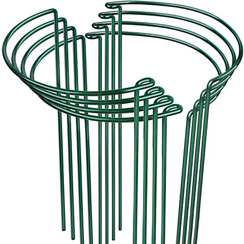 LEOBRO Plant Support, 8PCS Peony Cages and Supports, Plant Stakes for Indoor Plants, Outdoor Plants, Metal Garden Stakes, Plant Holders, Tomato Monstera Hydrangea Support Cage, 10" W x 15.8" H - size: 10"W x 15.8"H