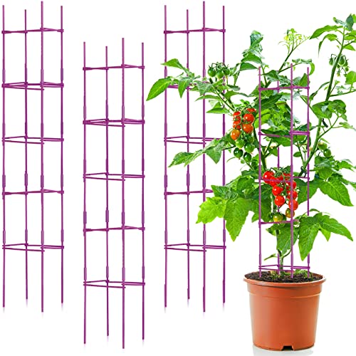 4 Packs Large Tomato Cages for Garden up to 6.5ft Heavy Duty Tomato Plant Trellis with 80 Clips Assembled Plant Support Cages with Adjustable Stake Arms for Vegetables, Climbing Plants (Purple) - color: Purple