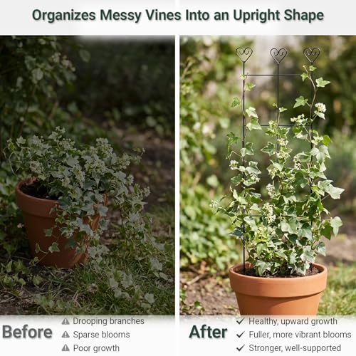 2 Pack 31" Metal Plant Trellis for Climbing Plants, Plant Support - size: 30in/2Pack