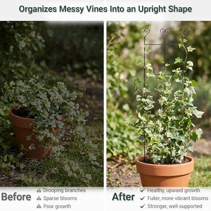 2 Pack 31" Metal Plant Trellis for Climbing Plants, Plant Support - size: 30in/2Pack