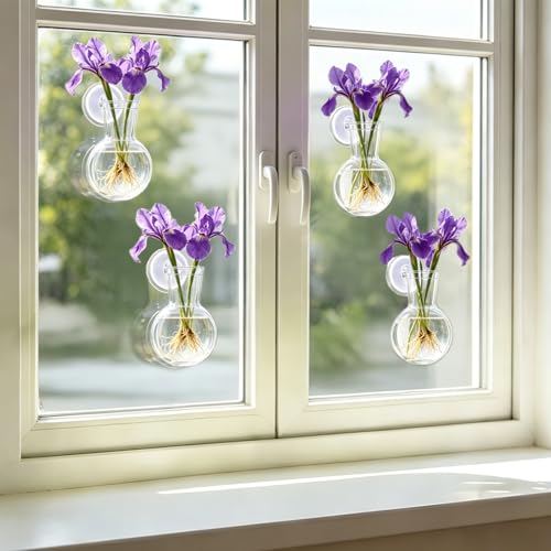 4 Pack Window Propagation Stations, Plastic Plant Terrarium Vases - size: 4 Pcs