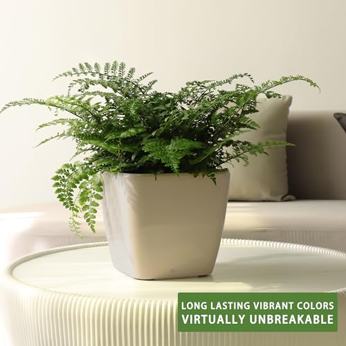 Dexceder 9x8 Self Watering Planter (Taupe Matte) - color: Taupe, size: 9x8