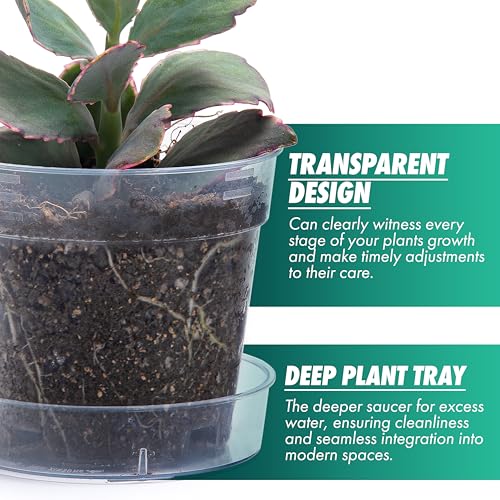 4 Inch Clear Plastic Plant Pot with Drainage Holes, Interlocking & Detachable Tray - Deep Saucer - Durable BPA-Free Plastic, Transparent Design, Raised Base for Airflow, Set of 6, 92-X-A-2 - size: 4" x 3.5"