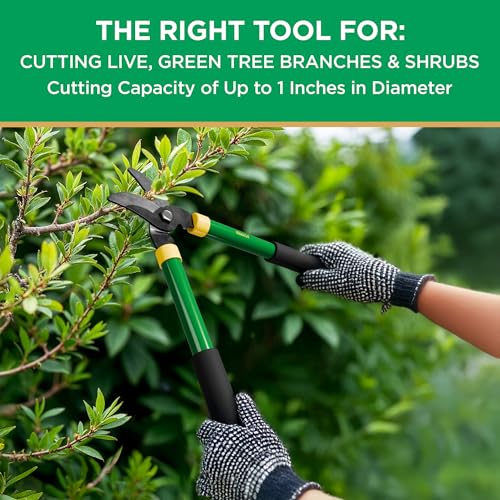 Miracle-Gro 15 in. Bypass Lopper for Tree Branch Trimming and Pruning – Heavy-Duty Branch Cutter with Ultra-Sharp Carbon Steel Blade, 1 in. Cutting Capacity and Comfort Grip Handles - style: Bypass Lopper 15"