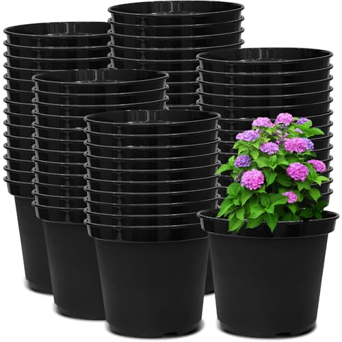 RooTrimmer 3 Gallon Plastic Nursery Pots 50 Pack, 10 Inch Round Plant Pots with Drainage Holes, Planting Pot for Outdoor Indoor Plants - size: 3Gallon-50P-Black