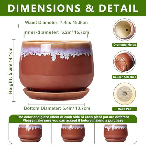 Ceramic Pots for Plants 7 Inch - Ceramic Planters for Indoor Plants, Indoor Plant Pots with Drainage and Saucer, Decorative Round Flower Pot, Garden House Room Decor, Plant Gifts, Red-Purple - size: 7 Inch, style: Red-purple