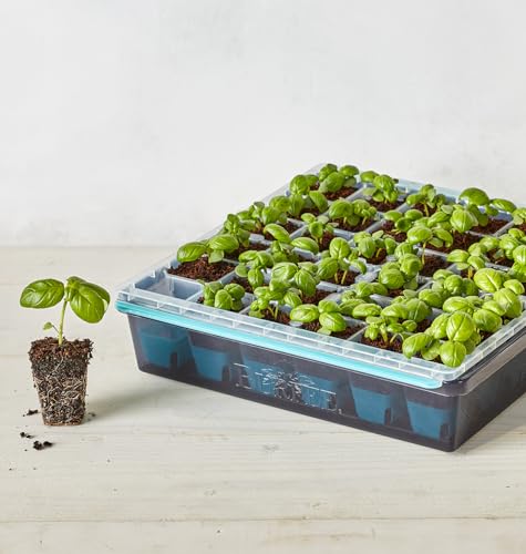 Burpee SuperSeed 36-Cell Reusable Seed Starting Tray for Indoor Seedlings - size: 36 Cells