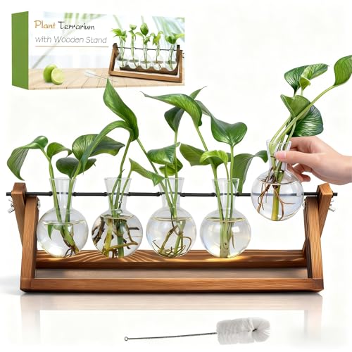 Renmxj Plant Propagation Stations with Wooden Stand & 5 Glass Bulb Vases - size: 5 Bulb Vase
