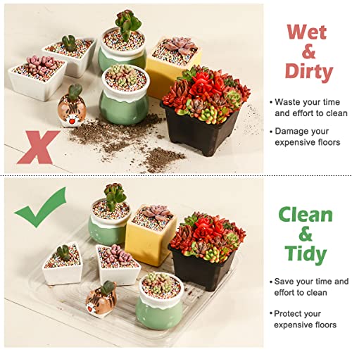 30 Pack Plant Saucers for Indoors 12 Inches Plant Trays for Pots Plastic Trays for Plants Square Plant Drip Trays for Potted Plants Flower Pot Saucers Clear Plant Plates to Catch Water, Bulk - size: 12 Inches