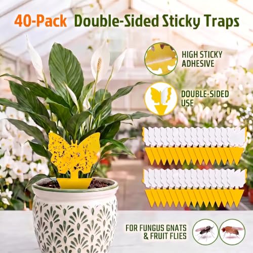 40 Pack Fungus Gnat Traps, Yellow Sticky Fruit Fly Traps for Indoor Plants - size: 40 packs