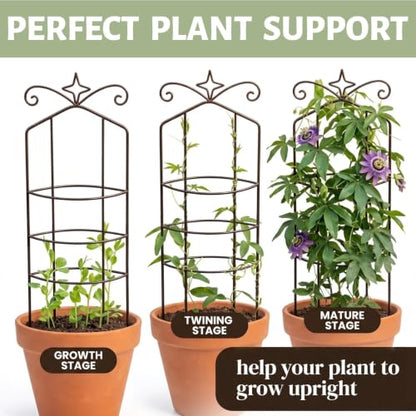 Plant Trellis for Climbing Plants Indoor 2Pcs Small Garden Trellis for Potted Plants Sturdy Metal Houseplant Support 33in Taller Plant Trellis for Monstera pothos lvy Vine