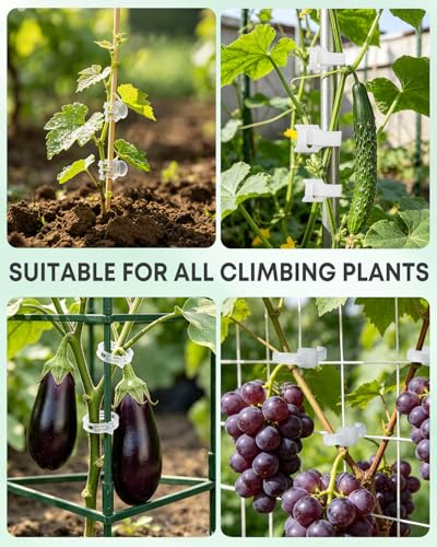 300Pcs Tomato Clips,Transparent Garden Plant Clips,Plastic Trellis Clips for Tomatoes,Cucumbers,Vines, Reusable Plant Support Clips, Gardening Supplies to Grow Upright - color: Transparency