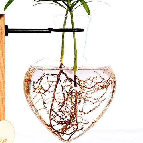 Kingbuy Hydroponic Glass Vase Vintage Desktop Plant Terrarium Planter Bulb Vase Water Planting Propagation Vase Planters Hydroponics Plants with Retro Wooden Stand Home Garden. (D(1 Heart Vase)) - size: Heart （1 Bulb Vase）