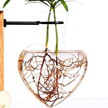 Kingbuy Hydroponic Glass Vase Vintage Desktop Plant Terrarium Planter Bulb Vase Water Planting Propagation Vase Planters Hydroponics Plants with Retro Wooden Stand Home Garden. (D(1 Heart Vase)) - size: Heart （1 Bulb Vase）